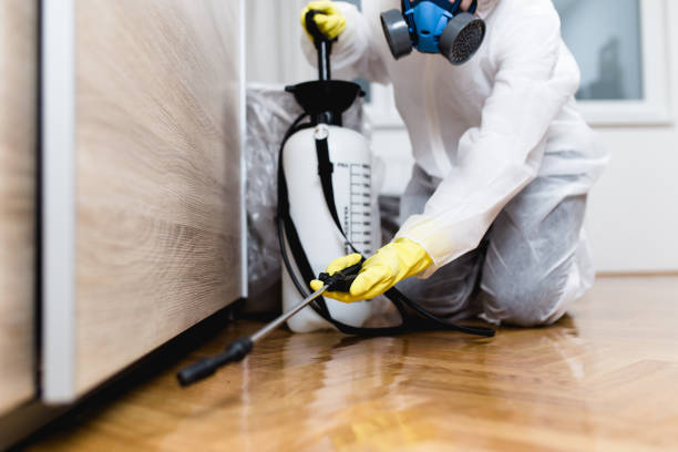 Best Best Pest Control Companies  in Litchfield, IL