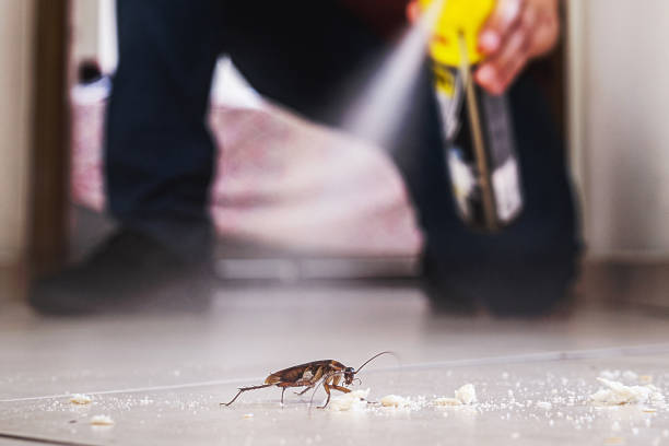 Best Insect Control  in Litchfield, IL